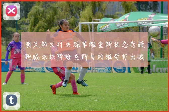 明天热火对决绿军维金斯状态存疑鲍威尔缺阵哈克斯与约维奇将出战