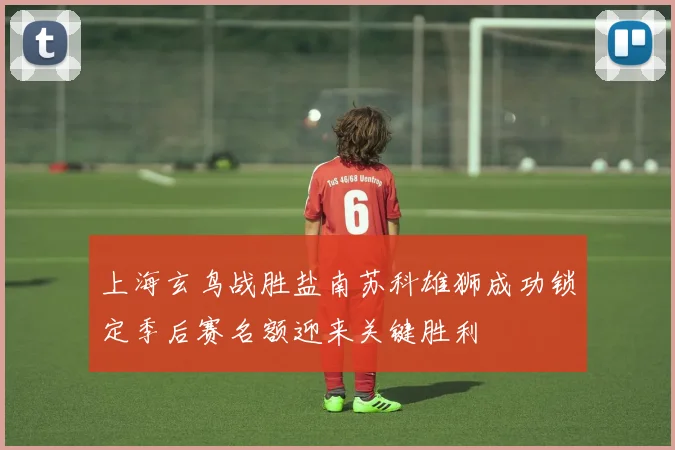 上海玄鸟战胜盐南苏科雄狮成功锁定季后赛名额迎来关键胜利